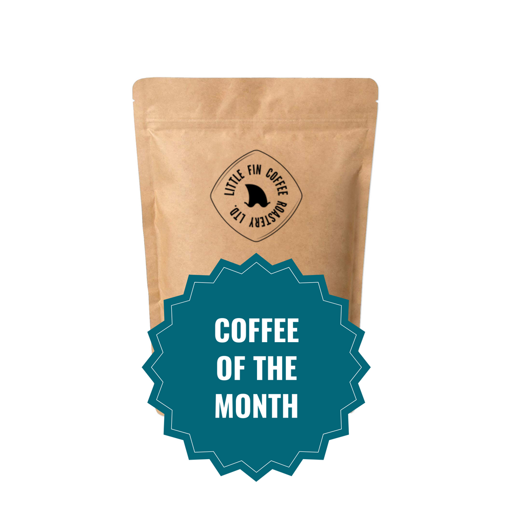 Coffee of the Month