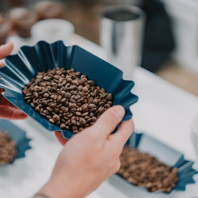 
                  
                    Load image into Gallery viewer, RHINO CUPPING TRAY PACK OF 12
                  
                